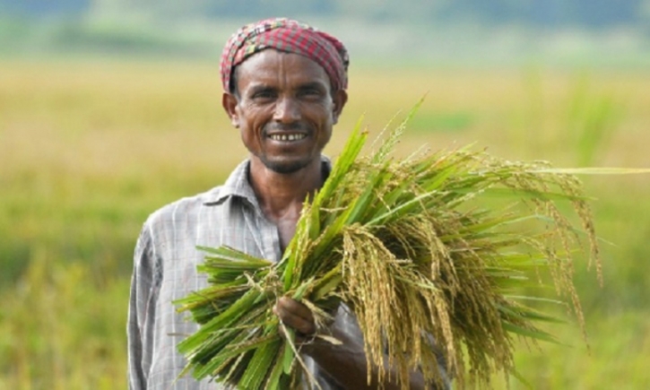 খাদ্য নিরাপত্তায় বাংলাদেশের প্রশংসায় বিশ্ব ব্যাংক খাদ্য নিরাপত্তায় বাংলাদেশের প্রশংসায় বিশ্ব ব্যাংক