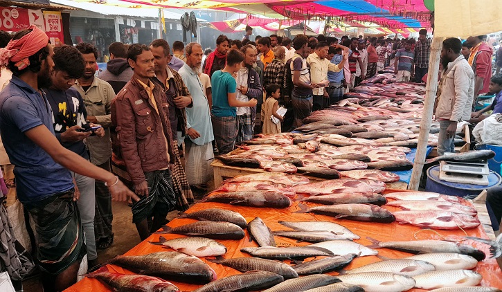 সবচেয়ে বড় মাছের দাম ৫৫হাজার টাকা