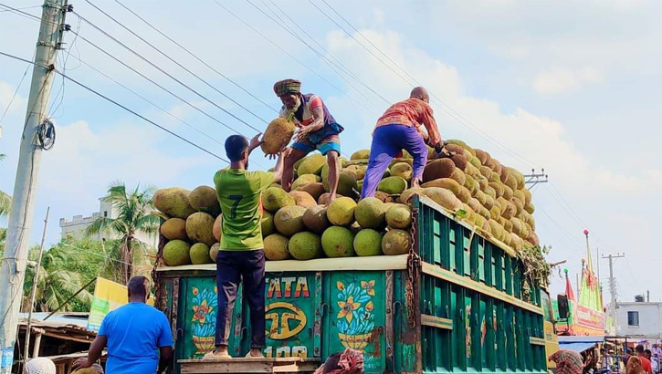মহাস্থান হাটের কাঁঠাল যাচ্ছে দেশের বিভিন্ন জেলায় মহাস্থান হাটের কাঁঠাল যাচ্ছে দেশের বিভিন্ন জেলায়