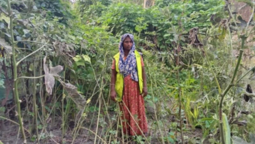 জলবায়ু পরিবর্তনে ক্ষতিগ্রস্ত পারভীন এখন অনেকের কাছে আদর্শ