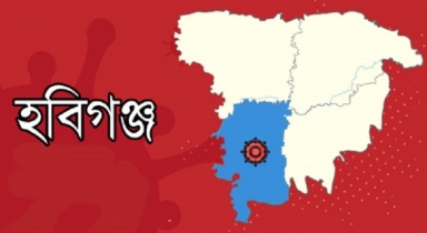 হবিগঞ্জে গর্ত খুঁড়ে লাশ বের করল কুকুর
