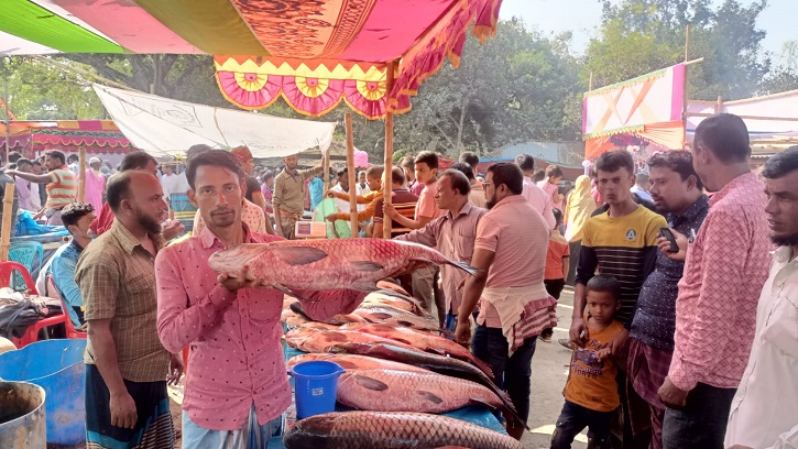 বগুড়ার ২০০ বছরের পুরোনো উথলী হাটের নবান্ন মেলা বগুড়ার ২০০ বছরের পুরোনো উথলী হাটের নবান্ন মেলা