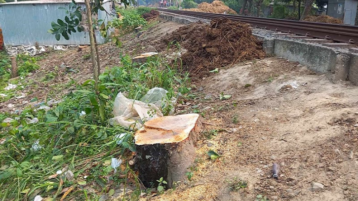 নিলাম ছাড়াই রেললাইনের গাছ কেটে ফেলার অভিযোগ নিলাম ছাড়াই রেললাইনের গাছ কেটে ফেলার অভিযোগ