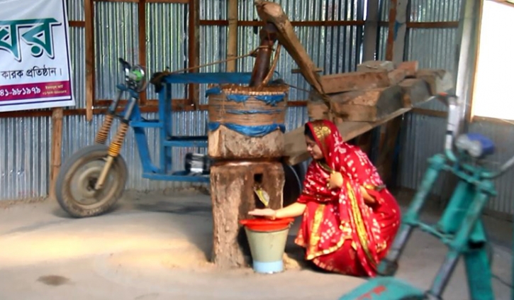 ঘানি টানায় বৈচিত্র্য এনে স্বাবলম্বী হলেন শারমিন ঘানি টানায় বৈচিত্র্য এনে স্বাবলম্বী হলেন শারমিন