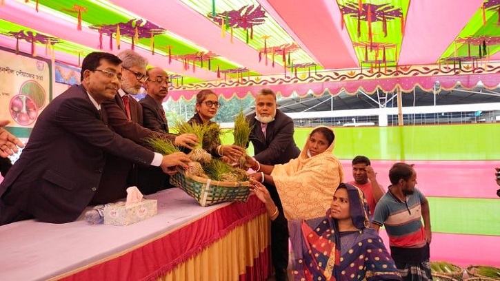১৫ লাখ পেঁয়াজের চারা বিতরণ করছে বগুড়ার মসলা গবেষণা কেন্দ্র ১৫ লাখ পেঁয়াজের চারা বিতরণ করছে বগুড়ার মসলা গবেষণা কেন্দ্র