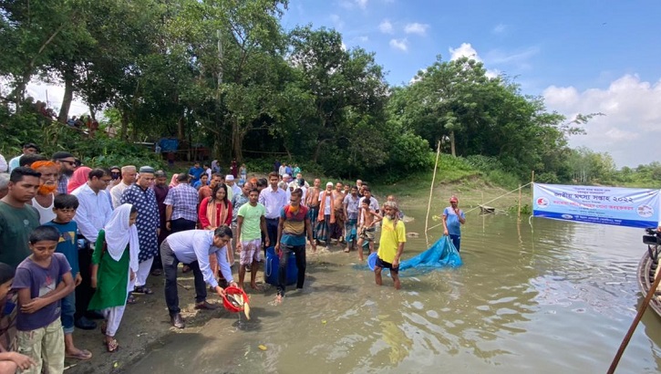 করতোয়া নদীতে দুই লাখ পোনা ছাড়ল আরডিএ করতোয়া নদীতে দুই লাখ পোনা ছাড়ল আরডিএ